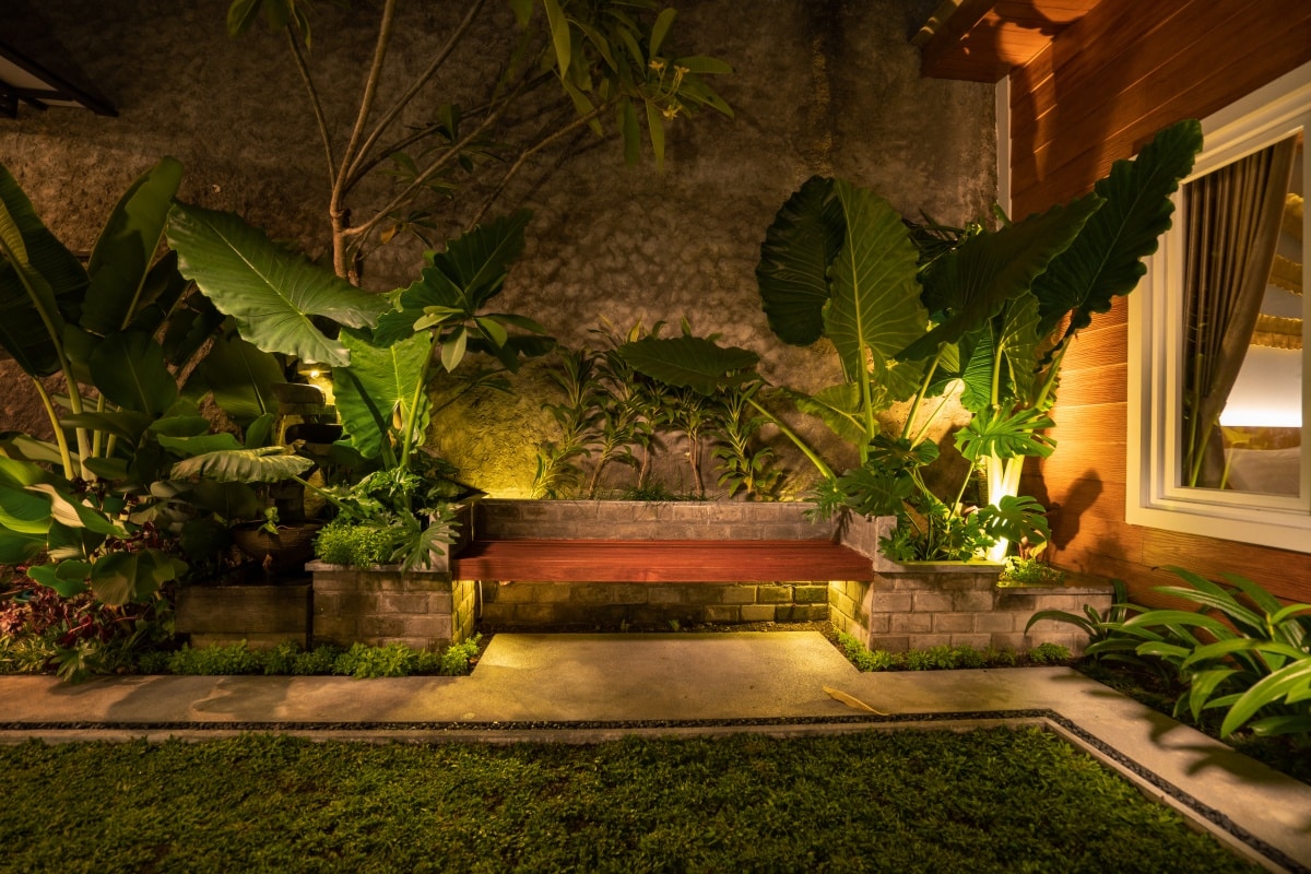 Tropical Backyard Garden illuminated at night