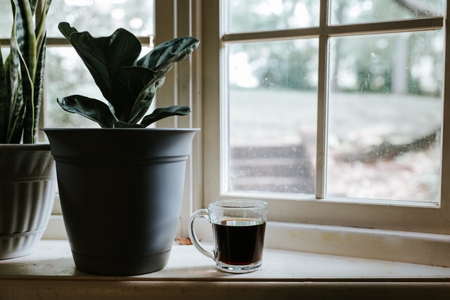 bay window sill for decor