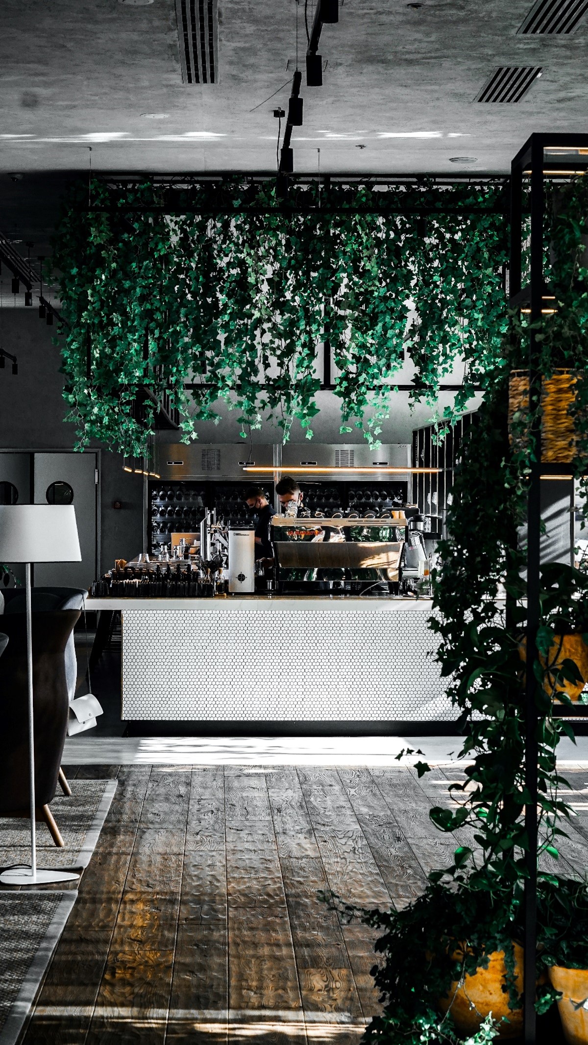 home-bar-hang-greenery