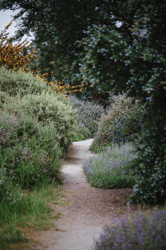 gravel-garden-rounded