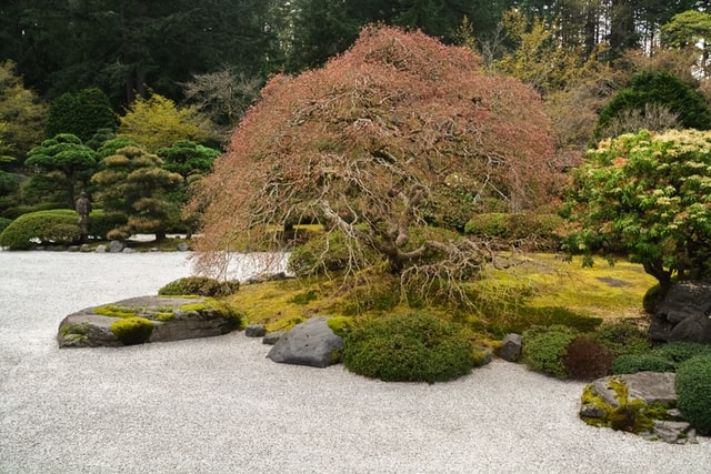 gravel-garden-landscaping