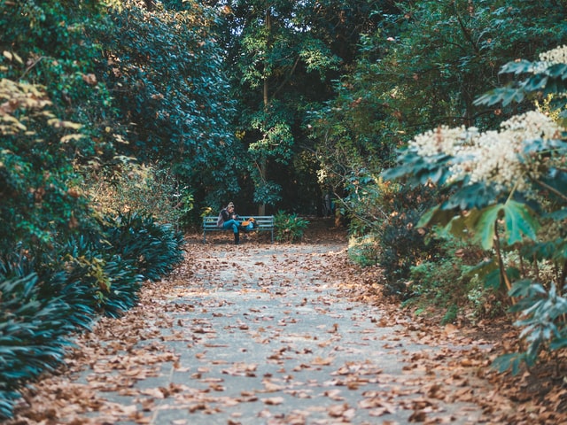 gravel-garden-traditional