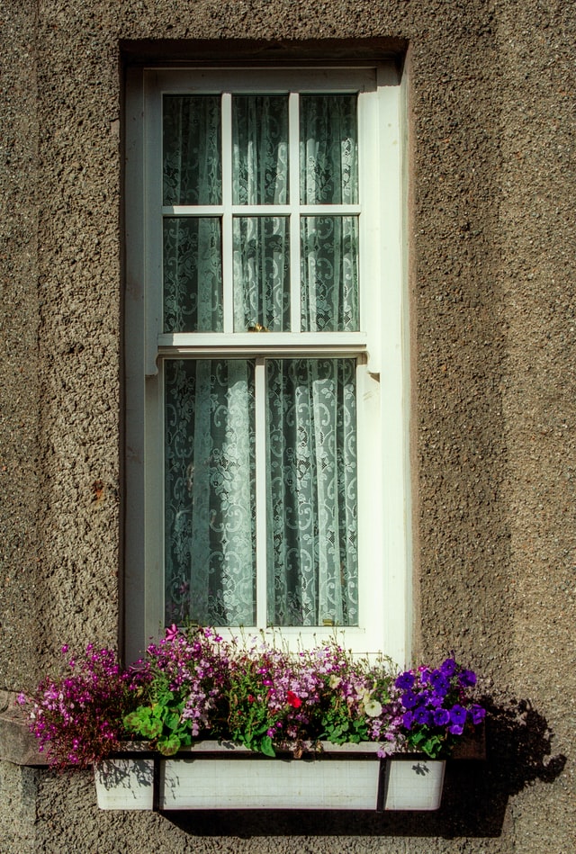 window-box-overflowing