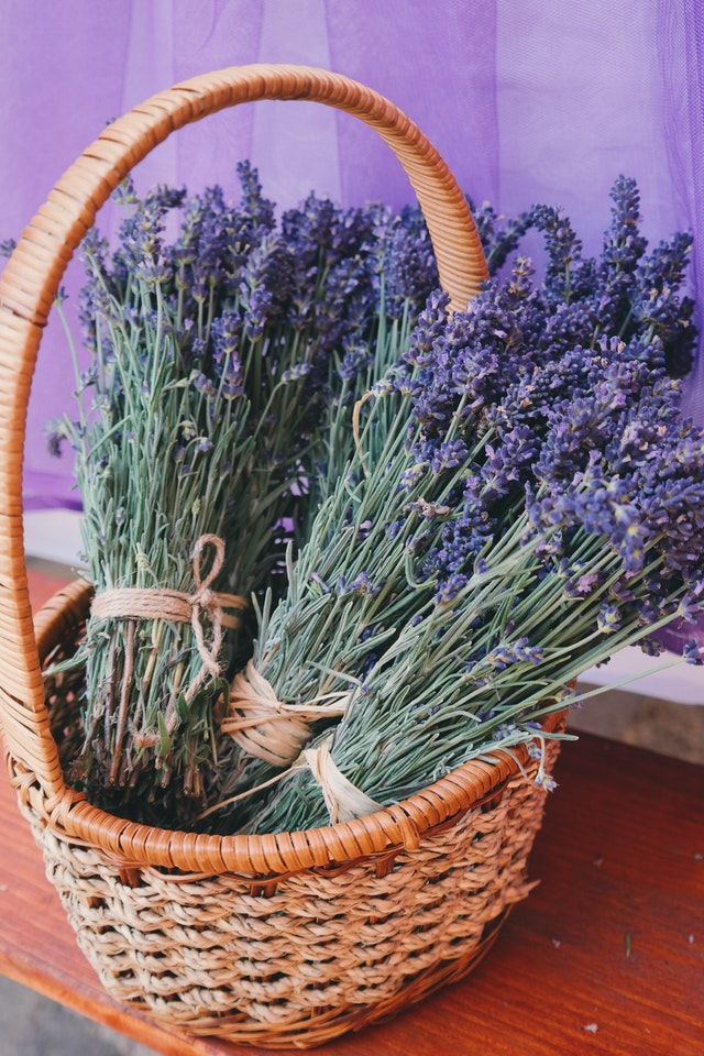 basket of lavender in front of purple bedroom wall