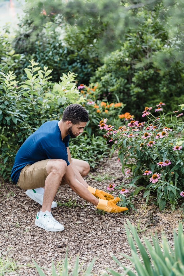 gravel-garden-mulch