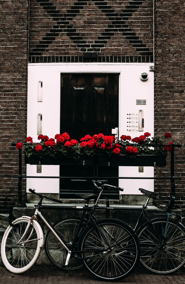 window-box-shutters