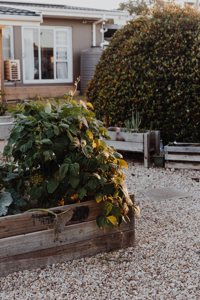 gravel-garden-garden-paths