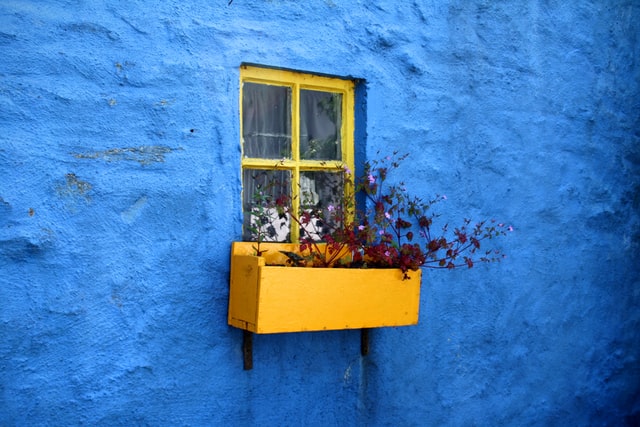 window-box-colour