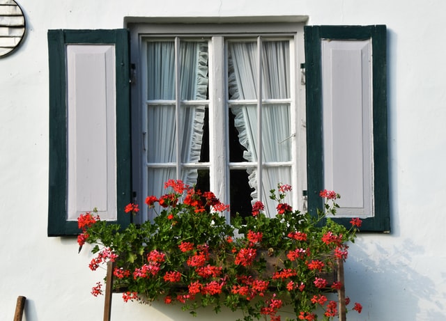 window-box-vibrant