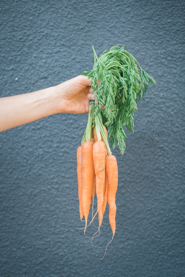 allotment-ideas-carrots