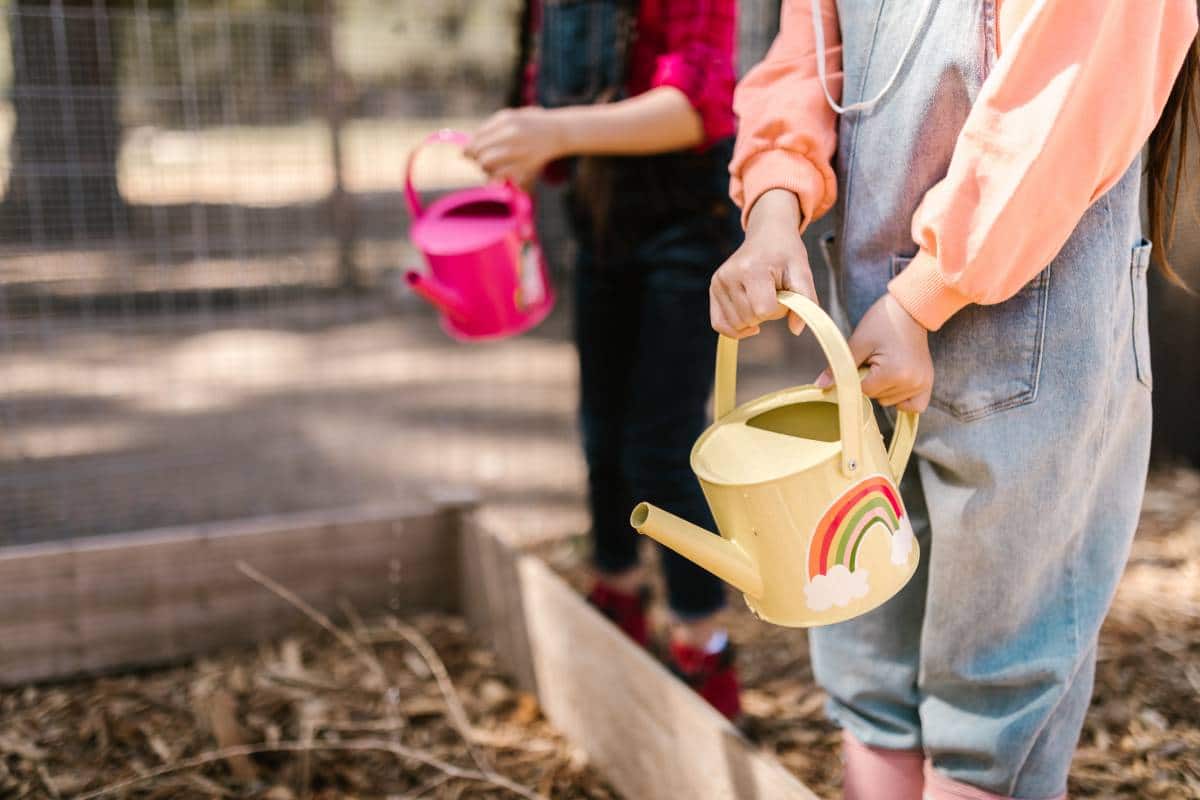 garden allotment kids