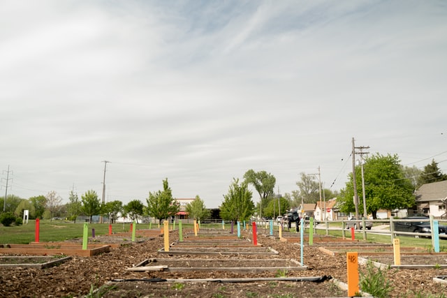 allotment-ideas-allotment-plot