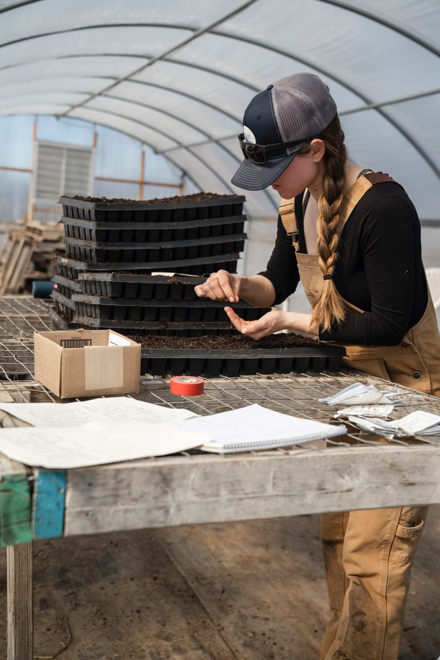 allotment-ideas-inside-greenhouse