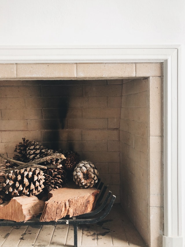 empty-fireplace-pine-cones