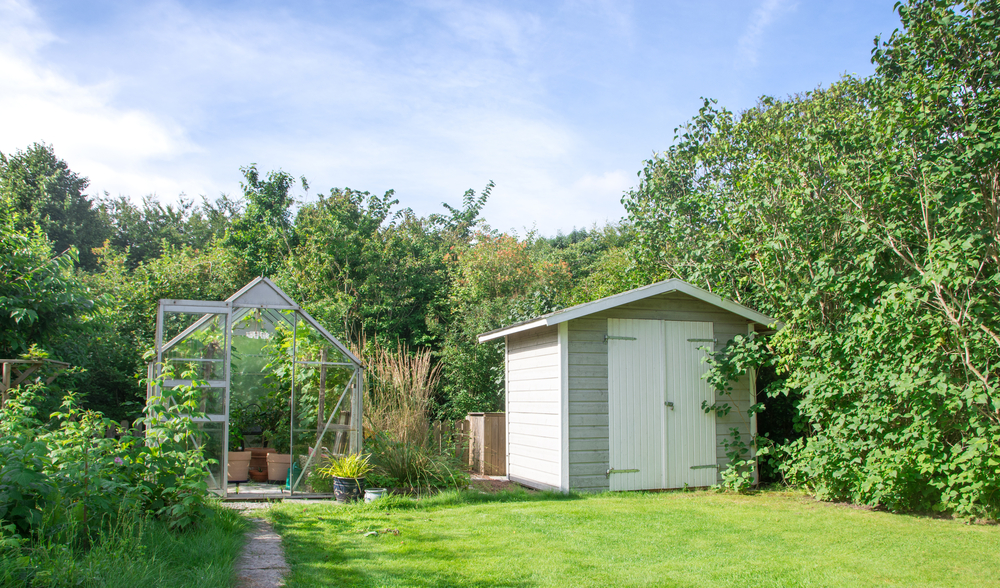 lush garden with shed