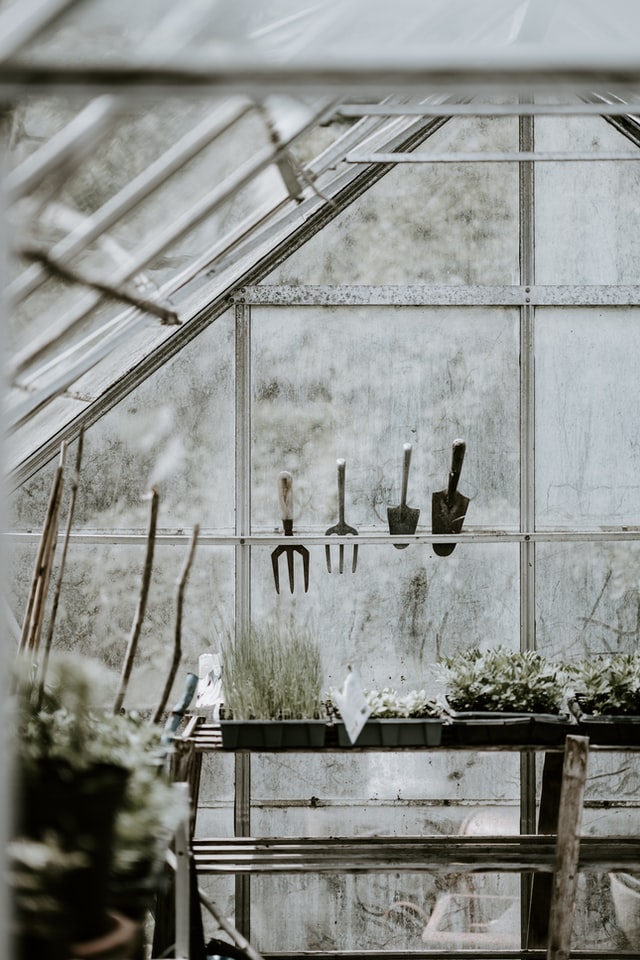 conservatory-ideas-gardening