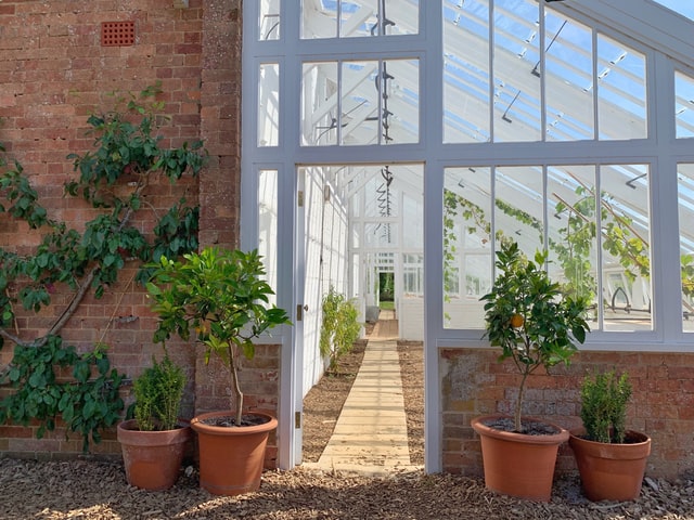 conservatory-ideas-side-return