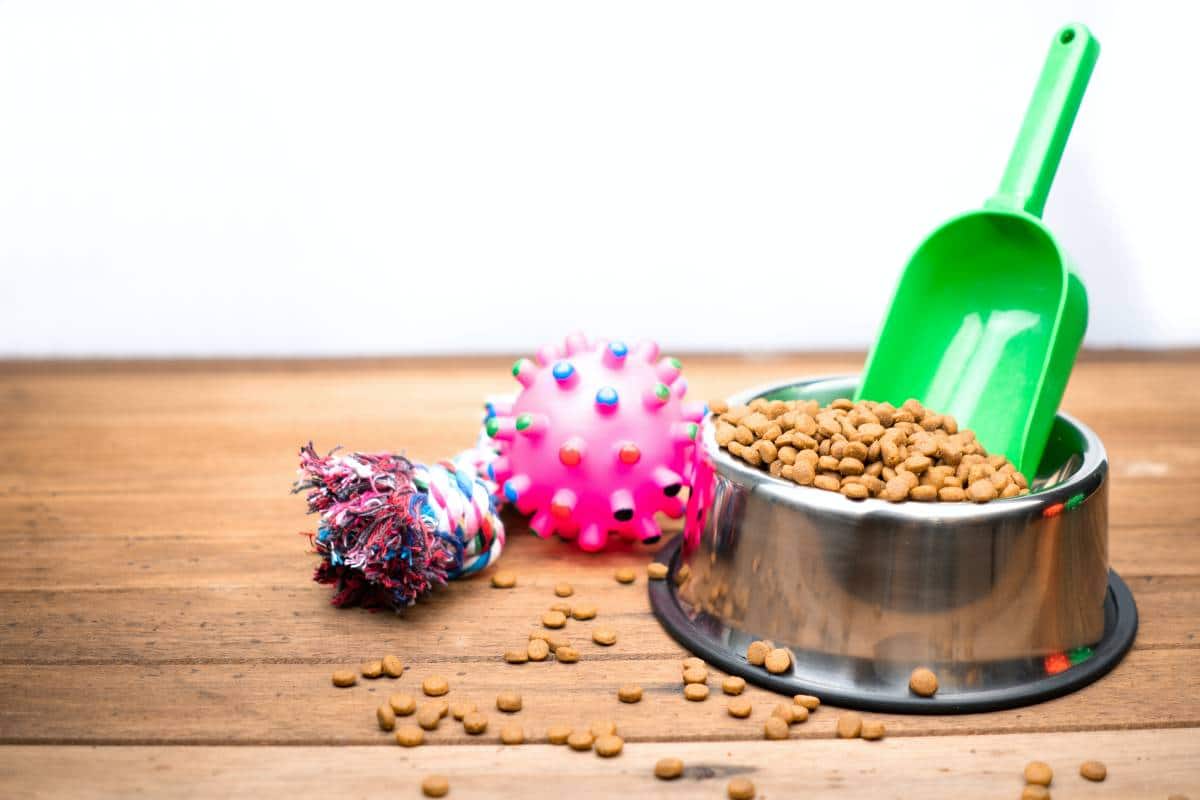 pet food on bowl and pet accessories