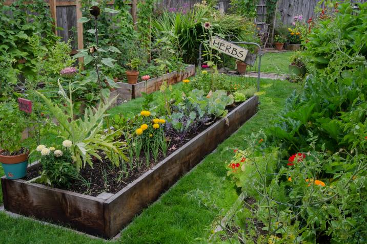 raised garden bed