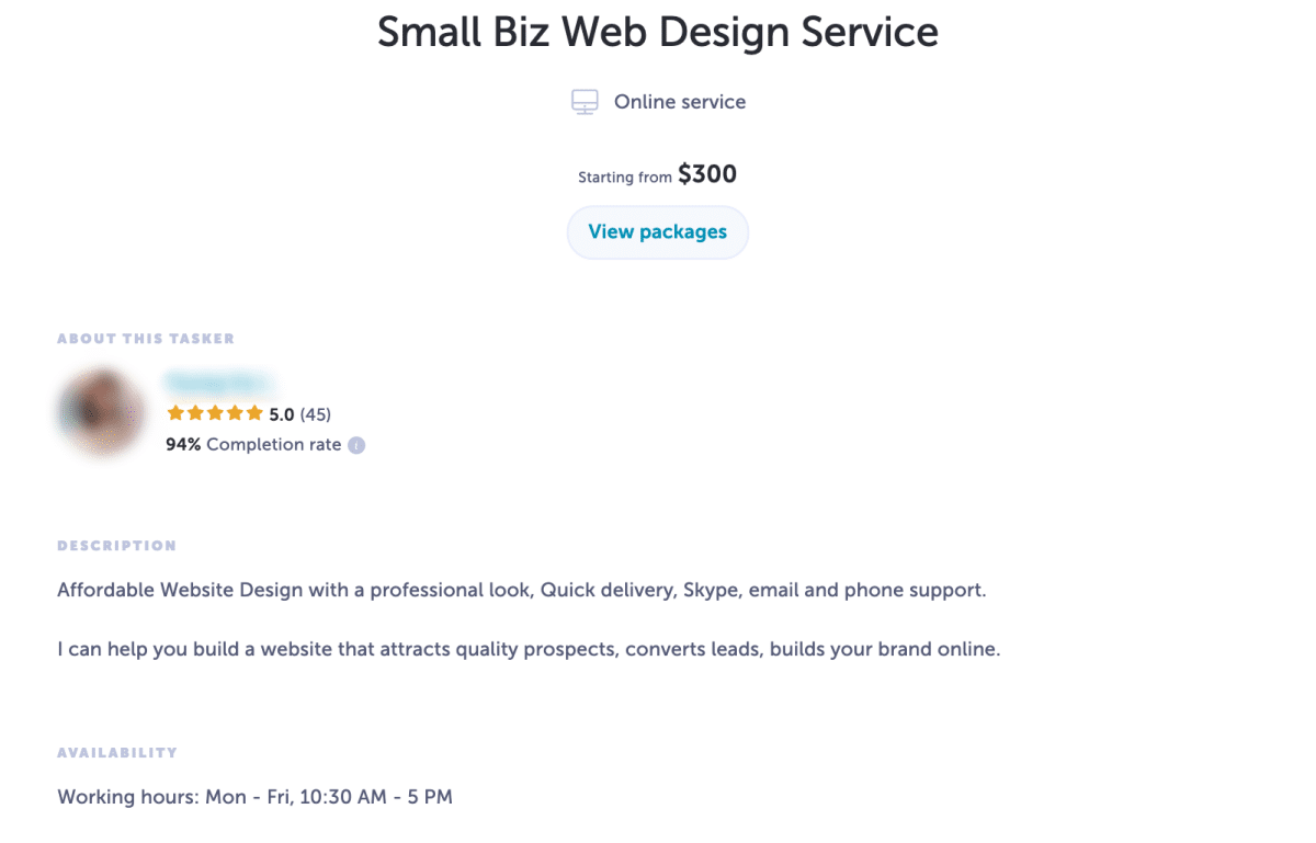 small business web design service