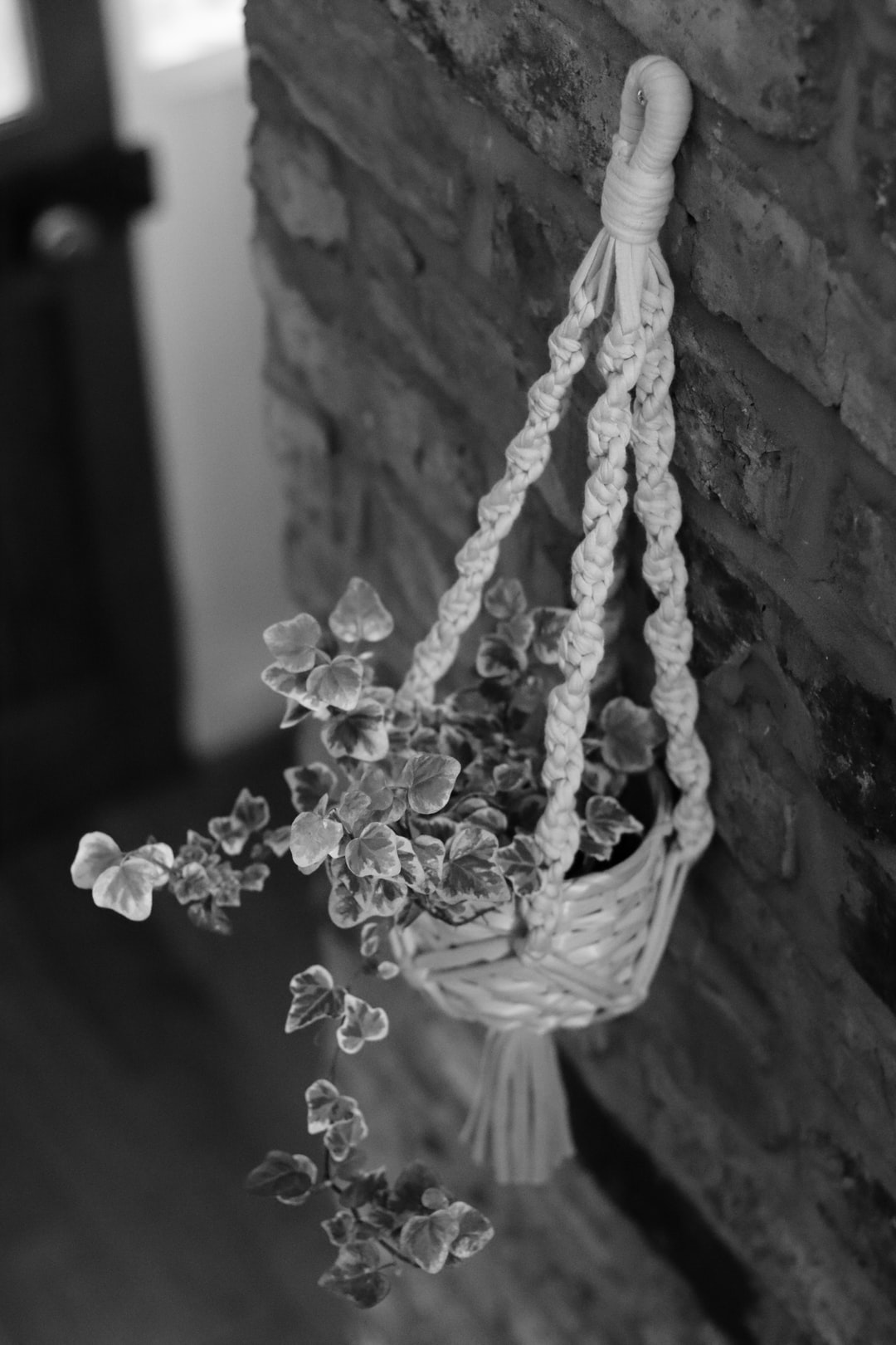 macrame double plant hanger diy