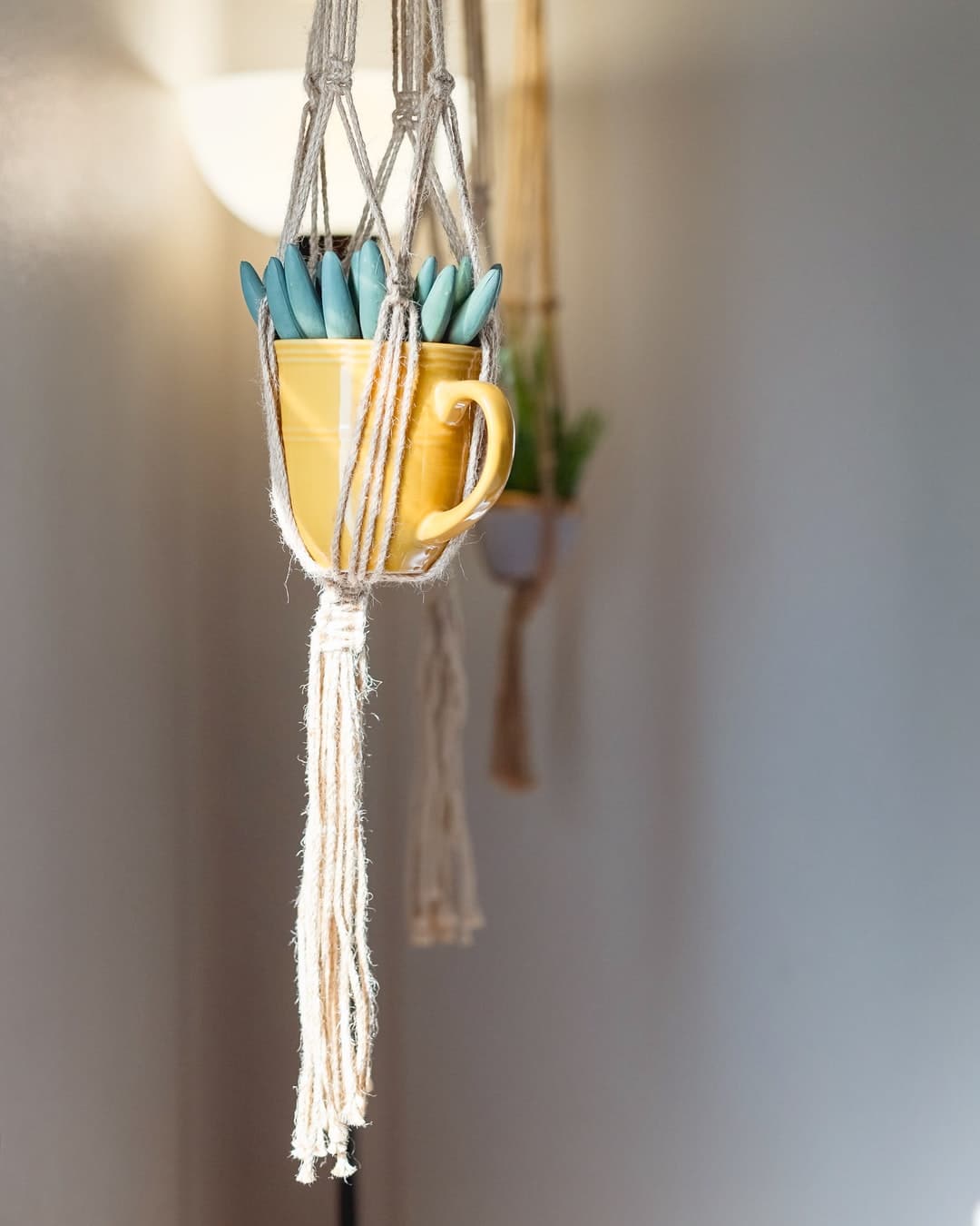 Macrame plant hanger DIY