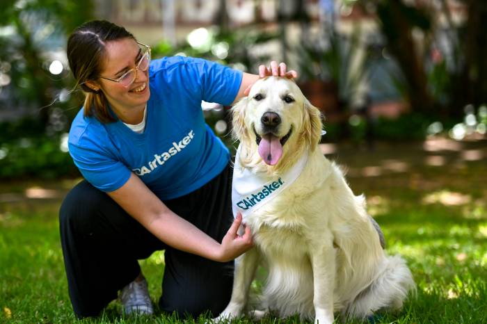 smiling owner petting dog's head