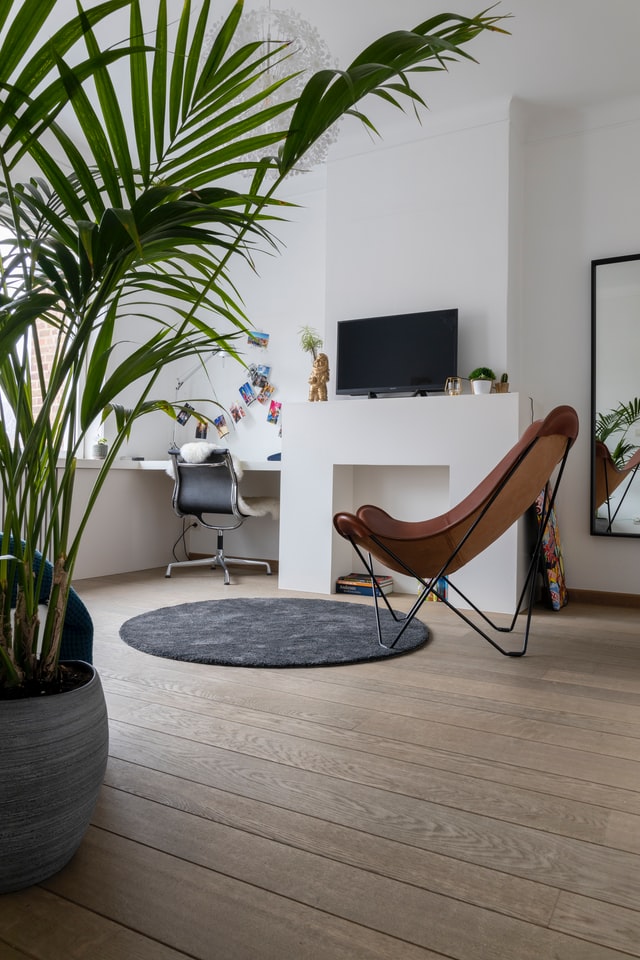 front-room-ideas-naturals-and-white