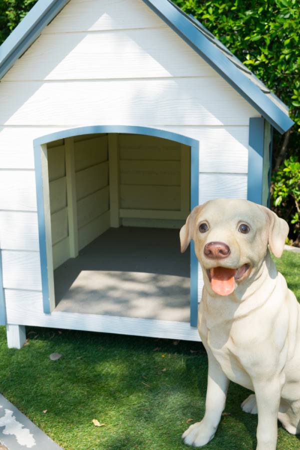 beach house-inspired dog house