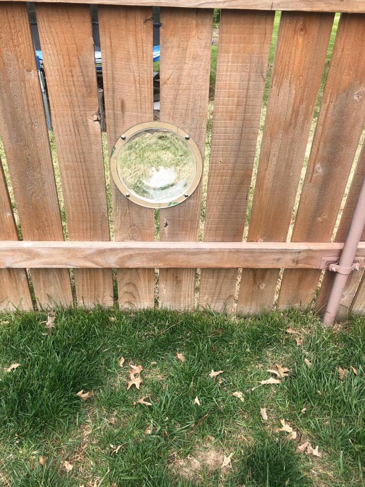 dog fence with bubble window