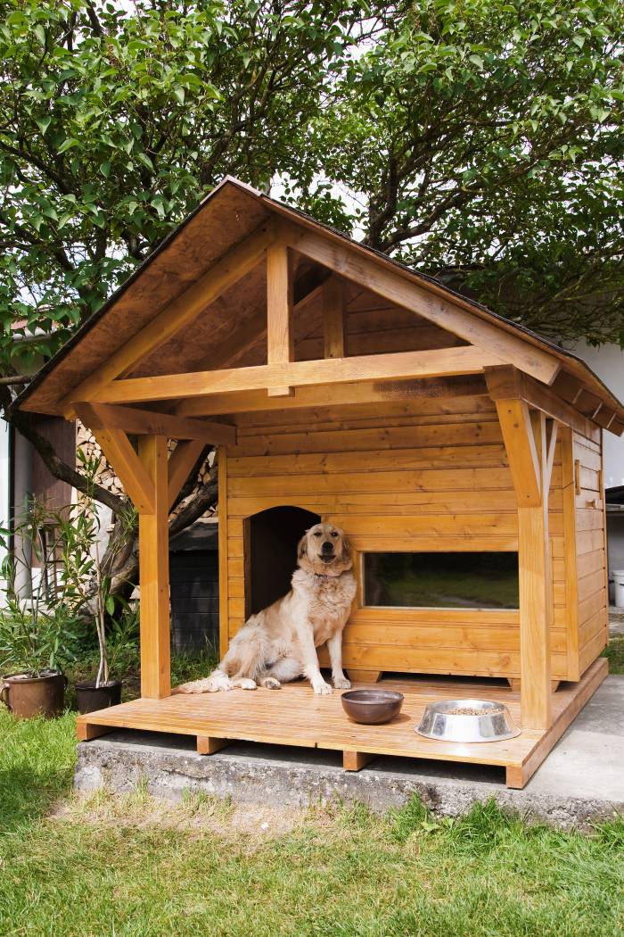 dog house with a porch 