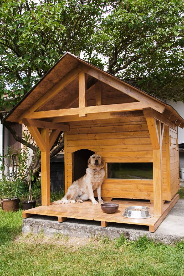 14 Free DIY Dog House Plans Anyone Can Build