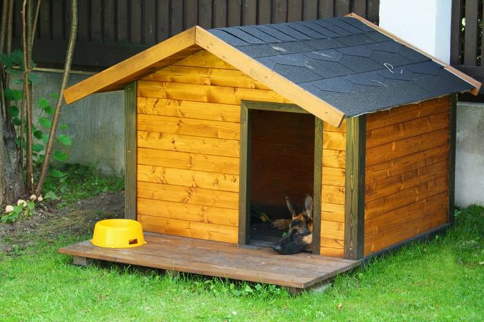 Pastor alemán en una casa de perro criada