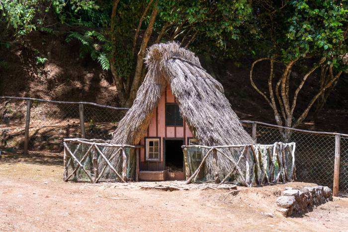 caseta de perro como una casa tradicional madeira con techo de paja