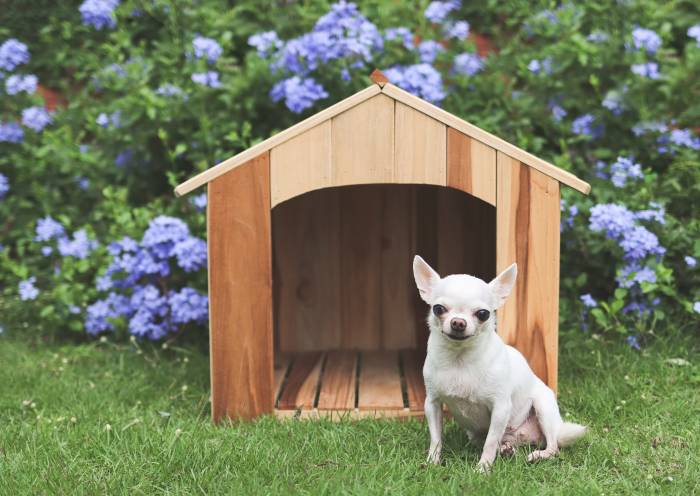 casa de perro de palets