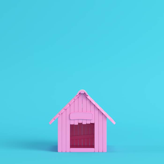 Caseta de perro rosa sobre fondo azul brillante en colores pastel