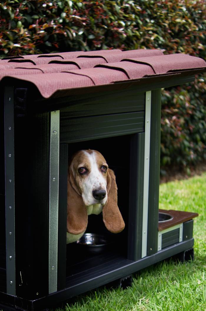 caseta para perro con techo de tejas