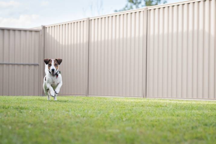 DIY Dog Fence Kits, Fencing Kits For Dogs