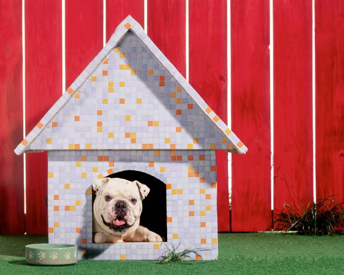 bulldog en casa de perro con estampado de azulejos