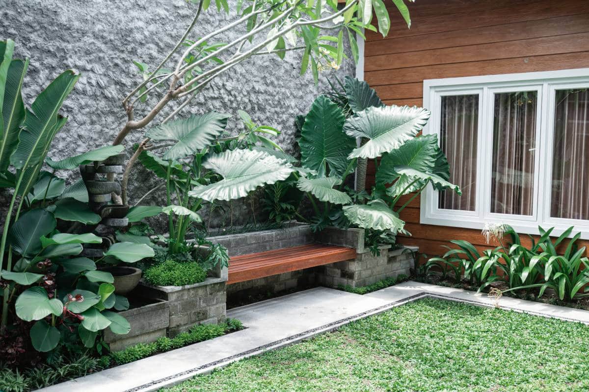 tropical garden backyard during the day, wooden bench tucked in between plants against the wall