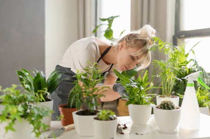 Woman at home caring for pot plants to sell