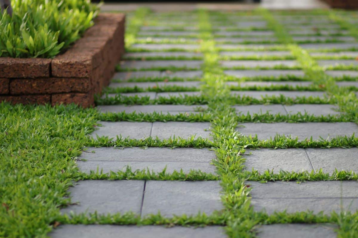 green grass peeking through stone garden path