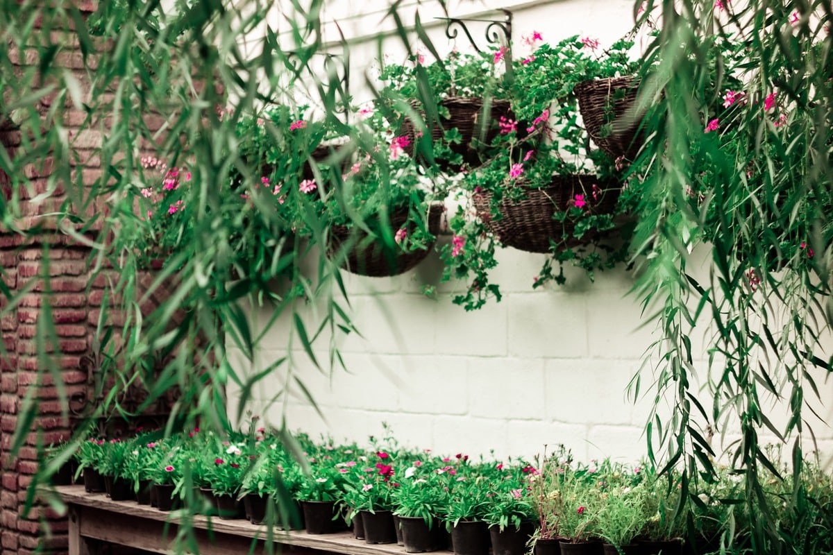 20 Vertical vegetable garden ideas