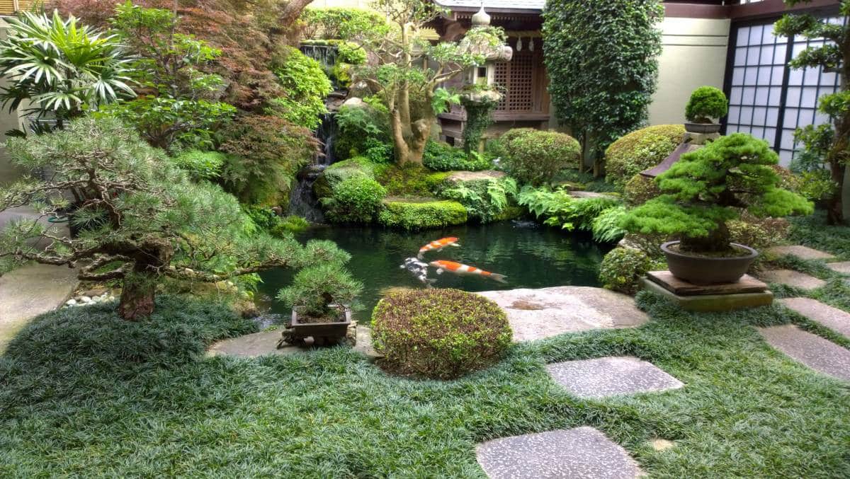 Japanese-inspired garden landscaping. Pond with koi and small waterfall 