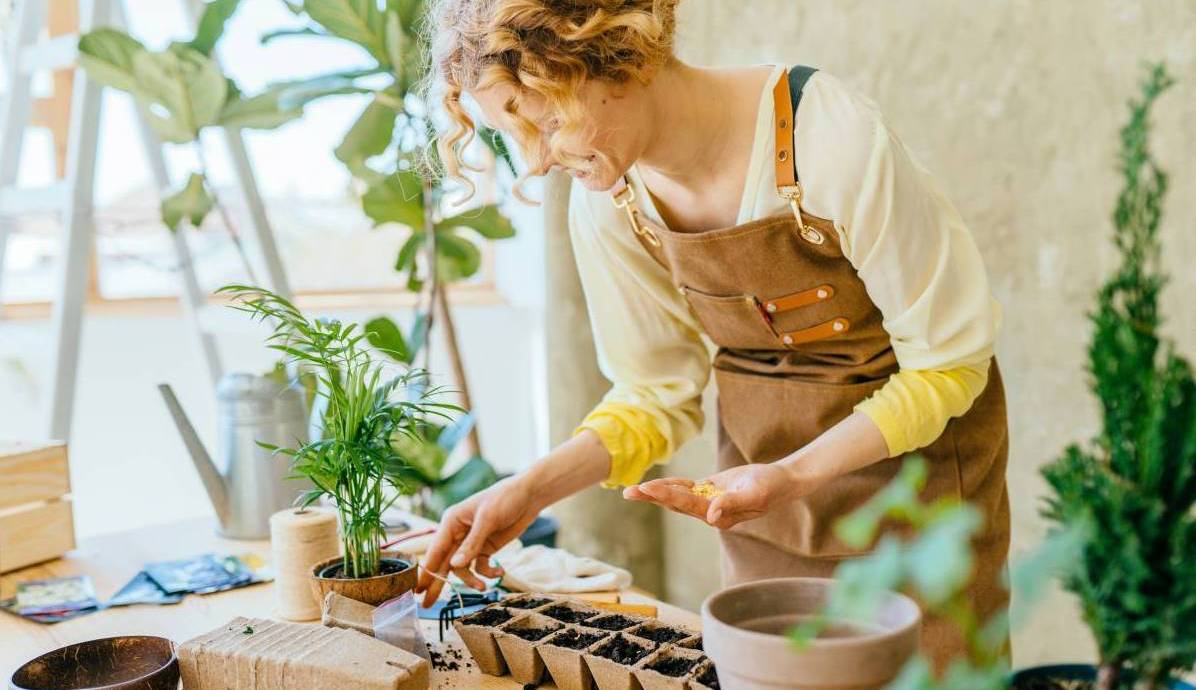 happy female professional gardener sowing seeds in peat pots indoors