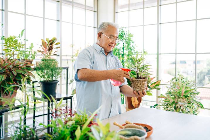 smiling Asian male senior sprays water to plants to make money gardening