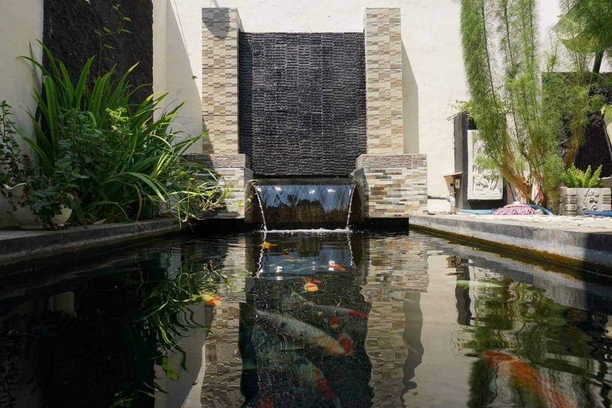 modern outdoor koi pond with a waterfall fountain 