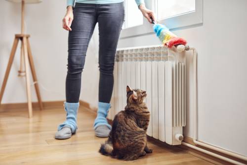 woman cleaning her home heating system