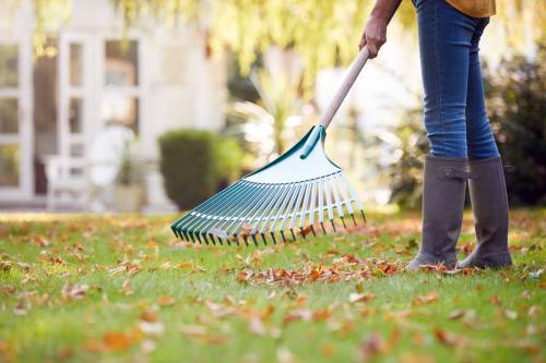 woman raking leaves in her garden