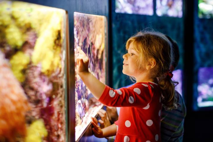 a little girl fixated at an aquarium